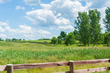 Fototapeta na wymiar Landscape scene with field and pasture