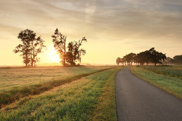 road in Dutch countryside at misty sunrise