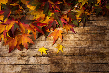 Obraz premium Autumn leaves on wooden background with copy space