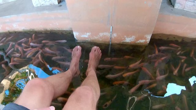 the feet of a man immersed in water full of fis