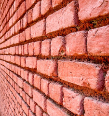 Red Brick wall structure as a background