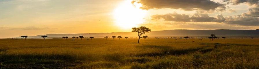 Foto op Plexiglas anti-reflex Een panoramisch uitzicht op de Masai Mara tijdens zonsondergang © Mathias
