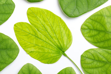 Happy Dussehra greeting card Green Leaf and Flower