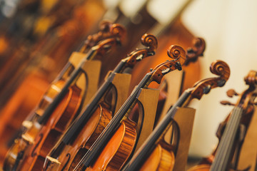Details with parts of violins before a symphonic classical concert
