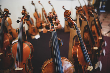 Details with the scroll, peg box, tuning pegs, strings, neck and fingerboard of a violin before a...