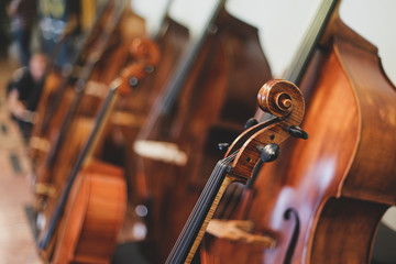 Details with the scroll, peg box, tuning pegs, strings, neck and fingerboard of a violin before a...