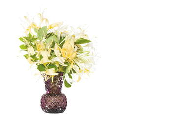 Lonicera japonica, known as Japanese honeysuckle and golden-and-silver honeysuckle in a vase isolated on a white background.space for your text 
