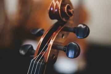 Details with the scroll, peg box, tuning pegs, strings, neck and fingerboard of a violin before a symphonic classical concert