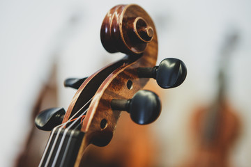 Details with the scroll, peg box, tuning pegs, strings, neck and fingerboard of a violin before a...
