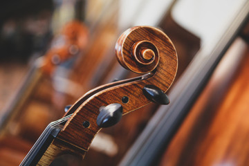 Details with the scroll, peg box, tuning pegs, strings, neck and fingerboard of a violin before a symphonic classical concert © MoiraM