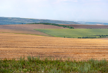 Fototapeta na wymiar Field with hills