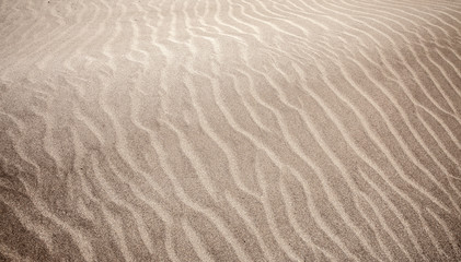 sand and wind pattern