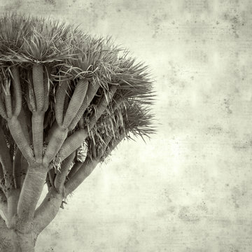  old paper background