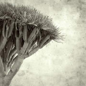  old paper background