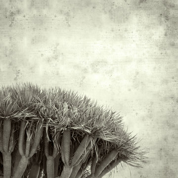  old paper background