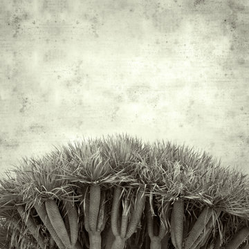  old paper background