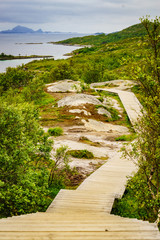 Walkway and fjord landscape, Lofoten Norway