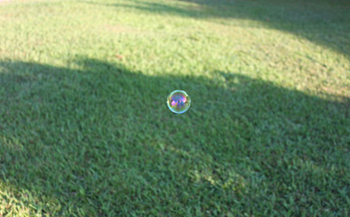 Lonely soap bubble hanging in the air