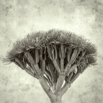  old paper background