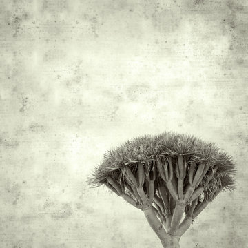 old paper background