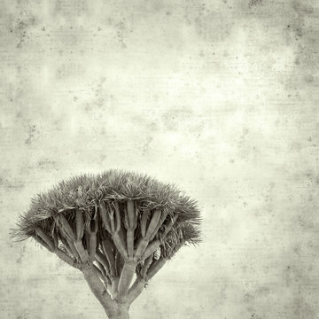  old paper background