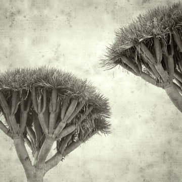  old paper background