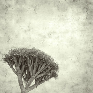  old paper background