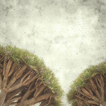  old paper background