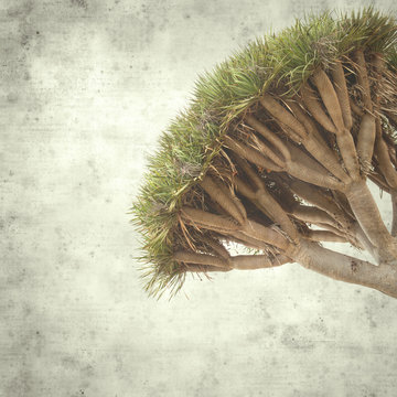  old paper background