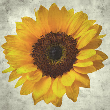  old paper background