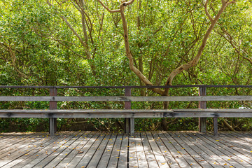 A long wooden bench with wooden floor in mangrove forest.