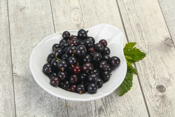 Fresh ripe sweet black currant