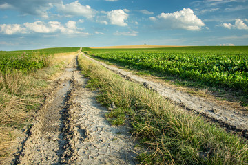 Rural road through fields and blue sky