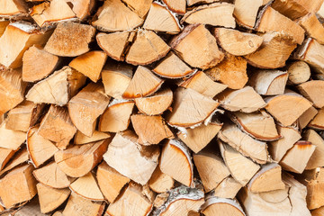 Fototapeta premium Birch firewood. Firewood harvested for the fireplace