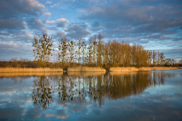 Autumn season with a lake and trees without leaves