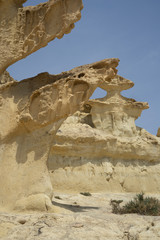 alien rock formation