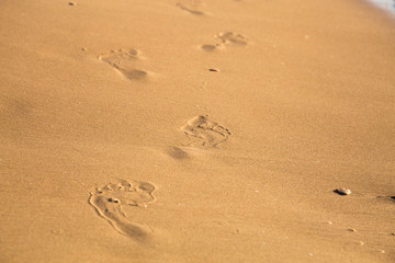 Fototapeta na wymiar Human footprints walking on the wet sand at the beach