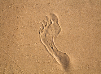 Human single footprint on the wet sand at the beach