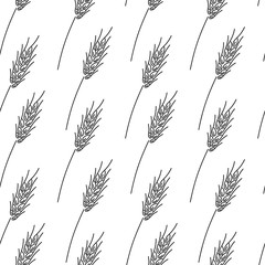Hand drawn pattern with black ears of wheat on white background . Vector illustration. Fabric, fabric, surface design