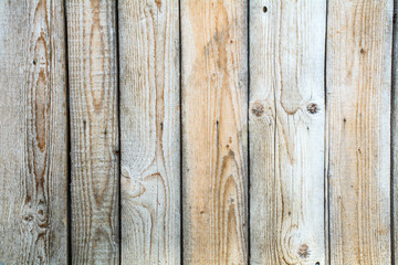 Old planks of pine grey color as the background.
