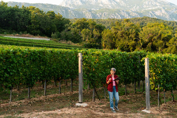 Fototapeta na wymiar A woman farmer examines the vineyard and sends data to the cloud from the tablet. Smart farming and digital agriculture.
