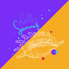 Hello summer card banner. Lambis spider conch, large sea snail, a marine gastropod mollusk in the family Strombidae, conchs. Sketch white contour on orange violet purple background. Vector