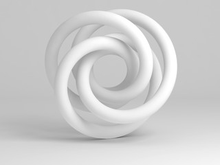 White torus knot geometrical representation