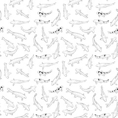 Seamless pattern Koi carp nishikigoi literally brocaded carp. Common carp that are kept in outdoor koi ponds water gardens. black outline on white background sketch doodle. Vector