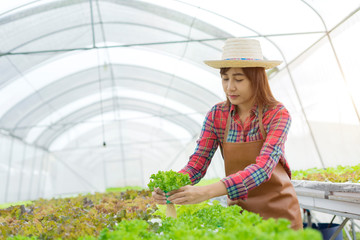 Portrait of young working in hydroponic vegetable farms,Agriculture for health Concept