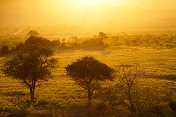 Fototapeta na wymiar Sonnenaufgang im Tsavo West Nationalpark Kenia Afrika