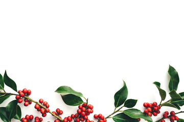 Branches Of Ilex On White Background