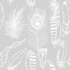 feather seamless pattern hand drawn sketch, peacock, jay © Mykyta