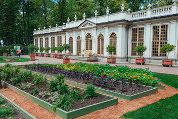 Summer garden in Saint Petersburg in Russia