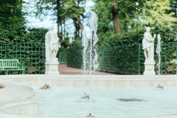 Obraz premium Summer garden in Saint Petersburg in Russia